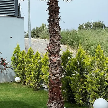 Spacegardenvillas *
